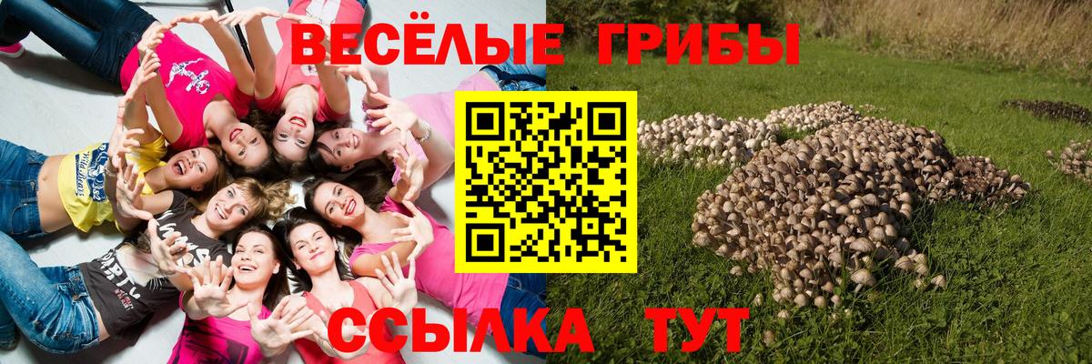 Псилоцибиновые грибы прущие грибы Волоколамск